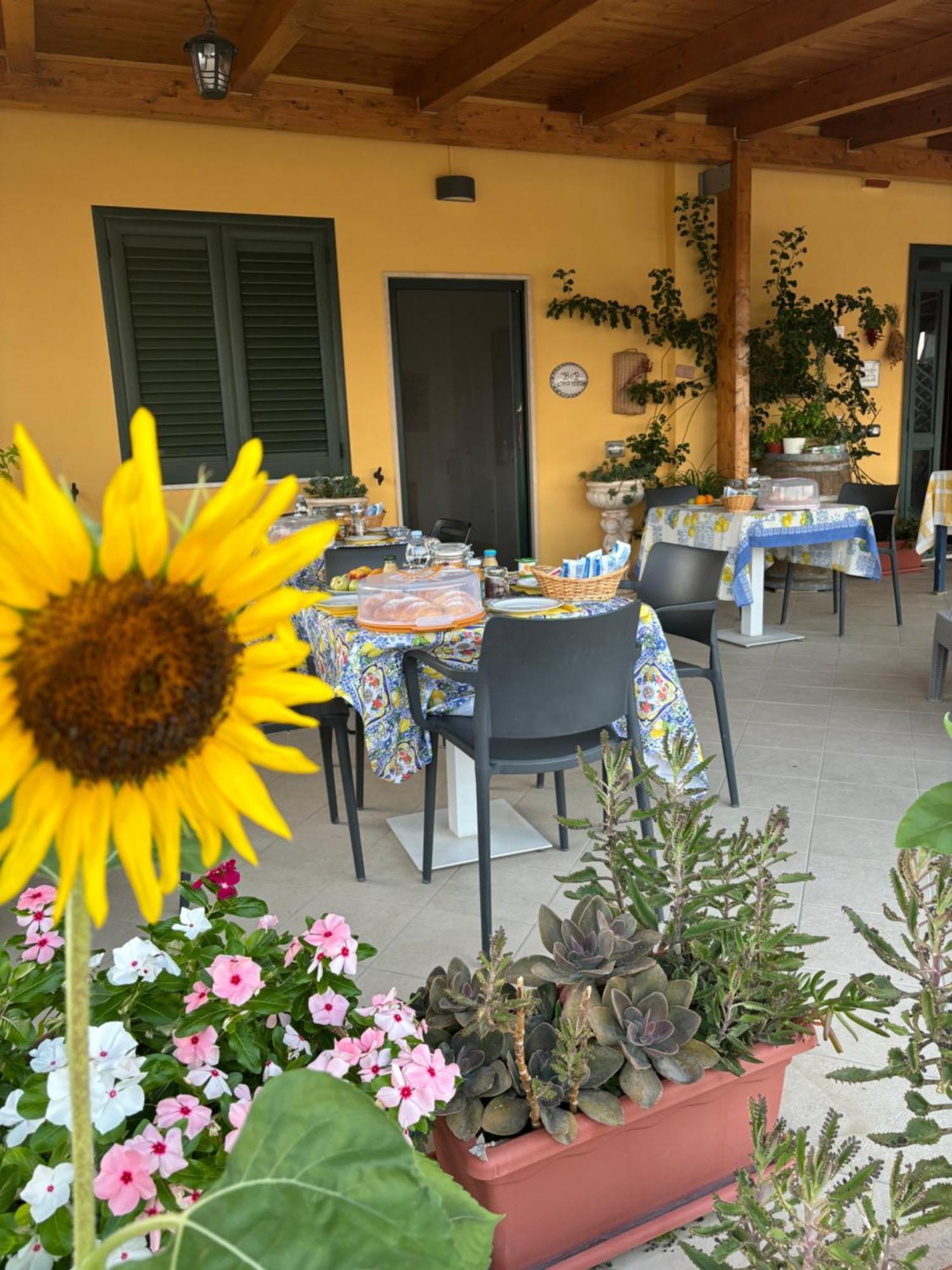 B&B Casa Martina Giungano Екстер'єр фото